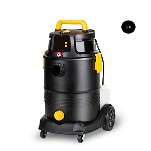 Aspiradora inalámbrica 4 en 1 con control remoto, champú multifunción y limpiador de alfombras con cubo de 30 L para limpieza del hogar y la oficina