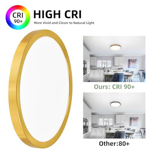 Image of hykolity 12 Inch Selectable CCT LED Round Flat Panel Light,2 Pack