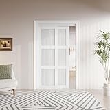 Sliding Closet Door 48'(Double 25') x 80' Interior Doors with Hardware Kit & Floor Guide, 3-Lite Tempered Frosted Glass Door Pre-Drilled Easy Install