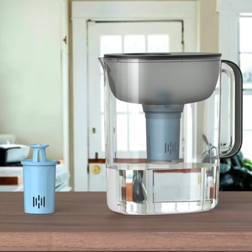 2PACK Premium Water Filter, Compatible with Brita® Water Pitchers and Dispensers, BPA-Free,Reduce 99% of Chlorine, Each Lasts 6 Months, by FILTERHUG®