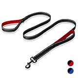 rabbitgoo Dog Leash 6ft Long, Heavy Duty Leash with 2 Padded Traffic Handles, Hands Free Leash for...