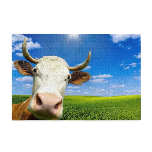  ؐWO\[pY 1000pcs bNX lqꏏɊyޒmQ[ ]g`W Ǌ| av[g