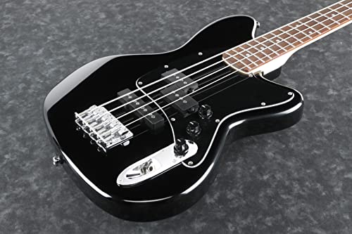Professional Bass Guitar Starter Bundle