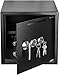 Genie Hand – Dual Lock Safe Box (Depository)