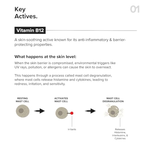 Image of Minimalist Barrier Repair Face Moisturizer with Vitamin B12 Complex 5.5% with Ceramides for All Skin Types | Strengthens Skin Barrier, Boosts Hydration, Soothing, Lightweight Gel Texture | 50 gm