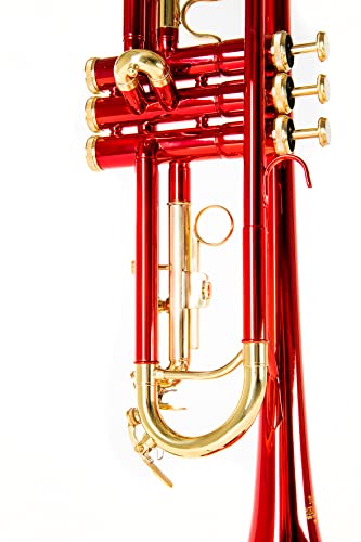 Trompete Roy Benson Bb TR-101R für Musiker