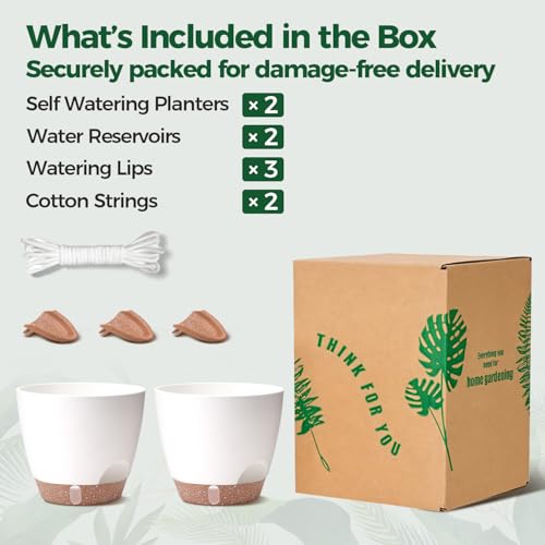 T4U 20cm Self Watering Plant Pots Indoor 2 Pack, Water Level Indicator & Deep Reservoir, Mess-Free Planters for Busy Homes and Beginners, Suitable for Pothos and Snake, Sheltered Outdoor Use(White) - Image 7