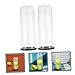 BESPORTBLE 6pcs Tennis Storage Container Transparent Design Wear-Resistant Holder Lid Lightweight and Portable for and Storage