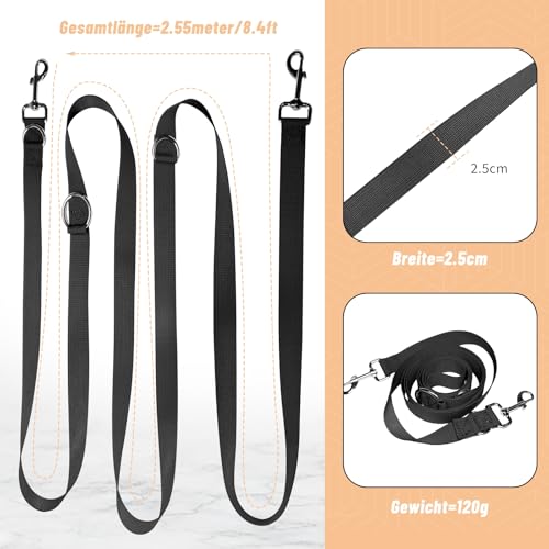 Hundeleine 2.5m Schleppleine Verstellbare Doppelleine Leichte für Kleine Mittelgroße Hunde mit 2 Karabiner für Training Outdoor Aktivitäten Schwarz