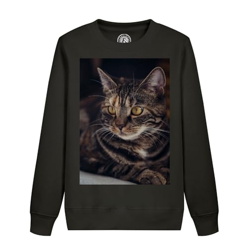 Sweatshirt enfant chat tigre mignon idée cadeau anniversaire originale