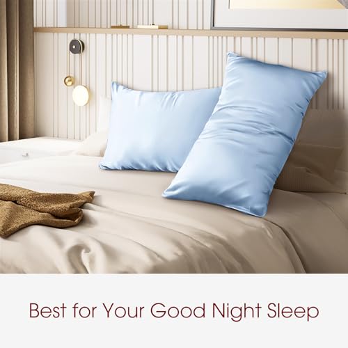 Image of 100% Silk Pillow Cases 2 Pack King Size Mulberry Silk Pillowcase for Hair and Skin Set of 2 Highest Grade 6A Silk Soft Breathable Cooling with Hidden Zipper, Sky Blue