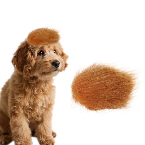 Peluca divertida para perros para fiestas y disfraces