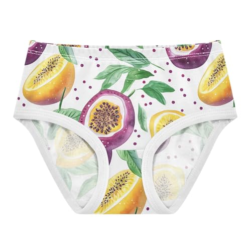Wusikd Watercolor Passion Girls' Underwear Cotton Fruit Girls Briefs Soft Toddler Underwear 2T