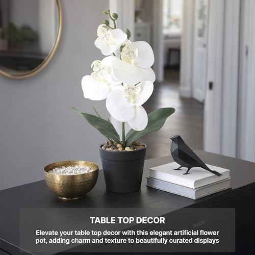 Image of Habere India-All the Cultures Fabricating India White Orchid Artificial Plants with Pot for Home Decor | Small Fake Flower Plants for Living Room & Indoor Decoration (Design02: L8.5 x W8.5 x H32 cm)