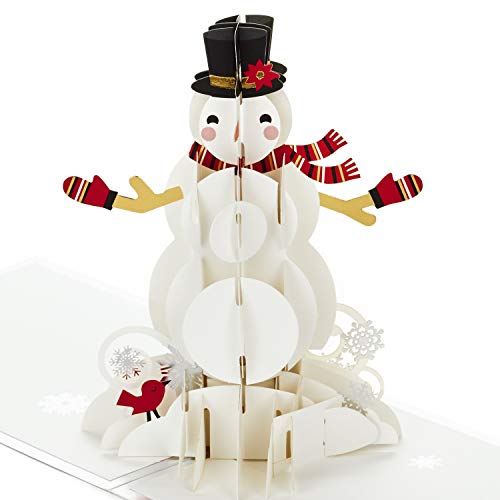 Hallmark Signature Paper Wonder Pop Up Christmas Card (Let it Snow)