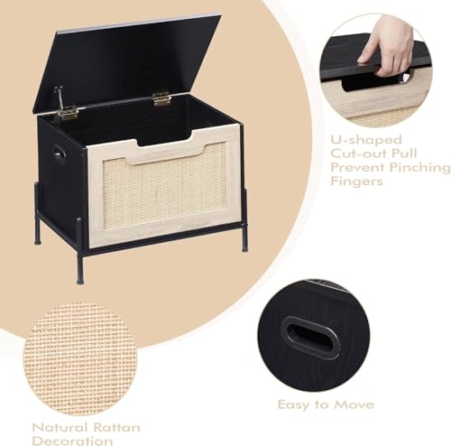 Storage Bench, Storage Trunk Chest with Safety Hinges, Supports 220 lb, for Entryway, Living Room, and Bedroom, Easy to Assemble