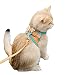 Pet Harness, Cat Harness and Leash Escape Proof Dog Vest Harness Adjustable Step-in Harness with Reflective Stripes for Cats Dogs (S:Orange)