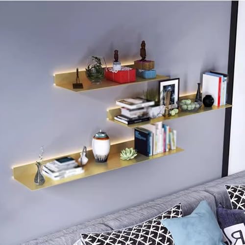 Expositor de Panel con Rejilla y luz LED cálida para comercios - Estantes de Pared Independientes para Tiendas, mercados y hogares - Estante Luminoso para una Mejor presentación Vi
