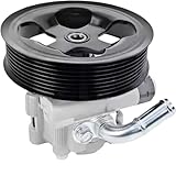 LIUHONGGANghc QVB500400 LR006613 Power Steering Pump Compatible with Land Rover Discovery Range Rover Sport Defender Freelander