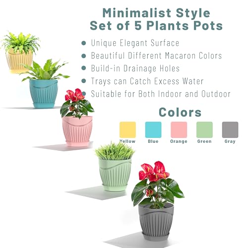 Image of ELUVIA Plastic Plant Pots with Drainage Holes and Trays - Set of 5 (6 Inch) - Minimalist Decorative Indoor Flower Pots for Living Room, Balcony & Office Garden (Yellow)