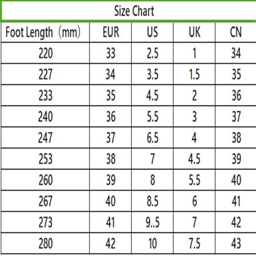 Retractable Roller Shoes for Men and Women