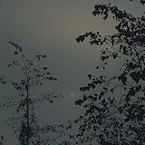 Beside the Moon