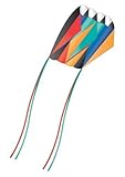 X-Kites Skyfoil Frameless Plasma Parafoil Kite