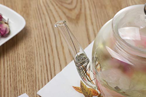 TFTea - Teiera in vetro da 600 ml con filtro nel beccuccio e coperchio in Vetro, per 1 o 2 Persone - immagine 6