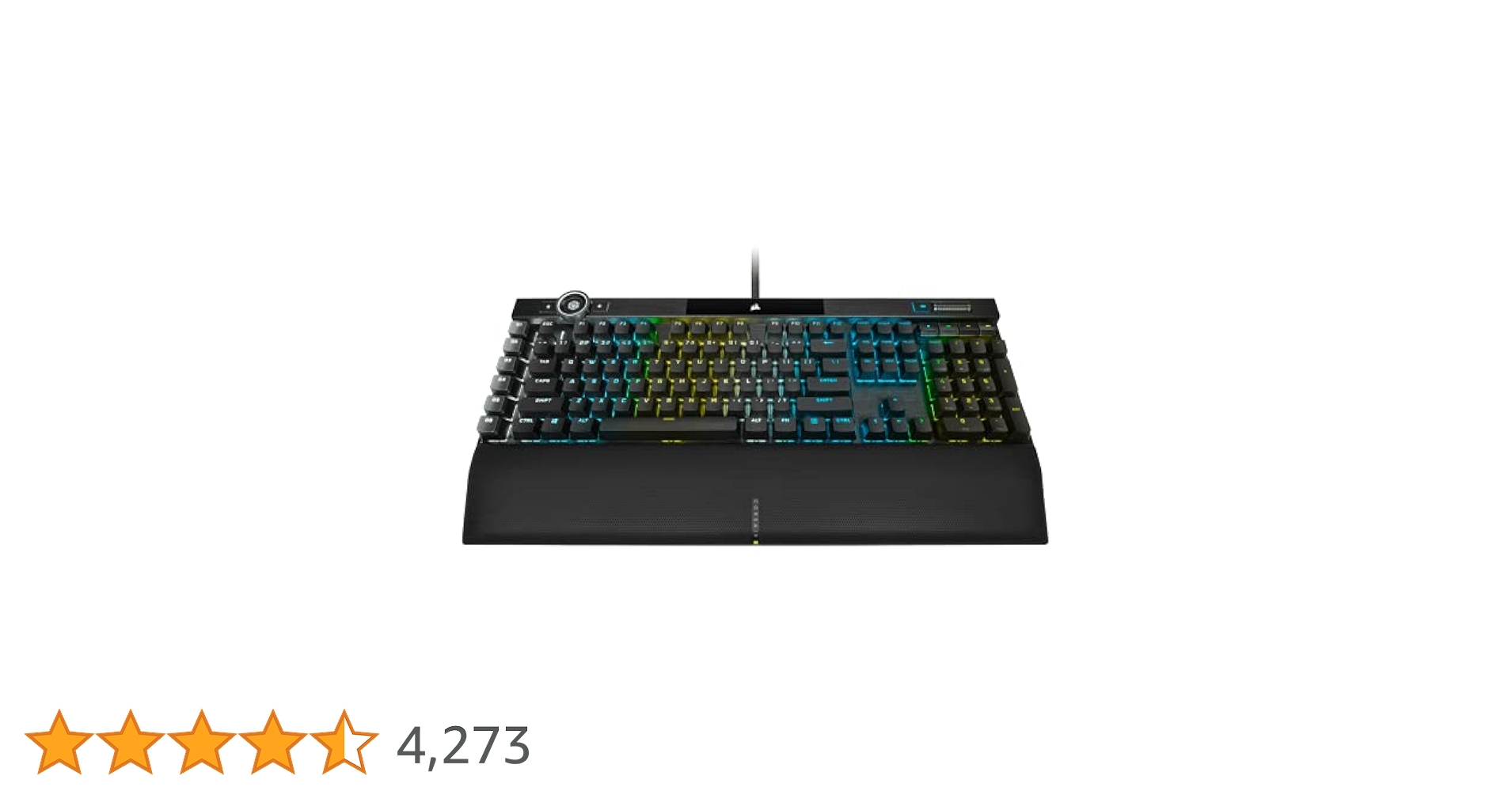 【morikizoku】クリーブランド SEC BGS10 morikizoku】クリーブランド SEC BGS10 morikizoku