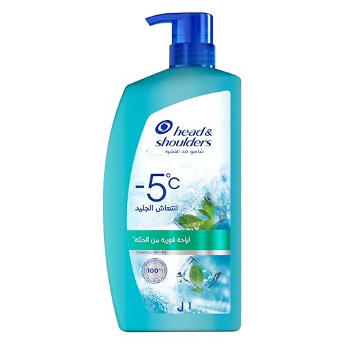 Head & Shoulders Ice Fresh 1L - The Worlds Coldest Anti-Dandruff Shampoo (Packaging May Vary)