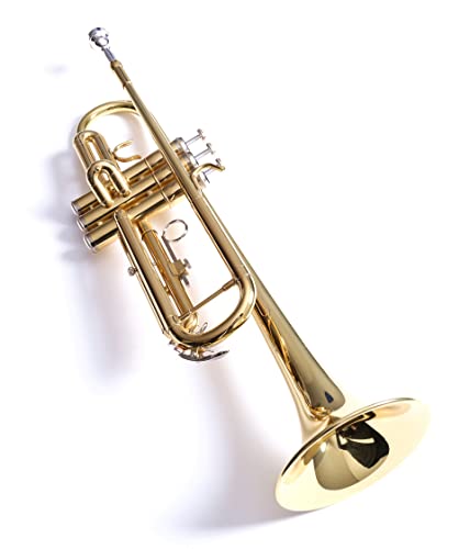 Dleisis Bb Standard Trumpets For Beginner Or Advanced Student Brass Trumpet Instrument With 7C Mouthpiece, Hard Case, Polishing Cloth, Gloves, Brass Musical Instruments For Kids & Adults (Golden) #TOP4
