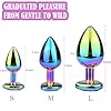 Lot de 3 plugs anaux de luxe en métal plaqué, acrylique 3D, en forme de cœur, bijoux en diamant, pour couples débutants, taille L/M/P, violet (T1) #1