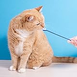 4 Stück Hundezahnbürste, kleine Hundezahnbürste, Katzenzahnbürste, Zahnbürste für Hunde, Zahnhygiene für Hunde, für Haustiere, Zahnreinigung
