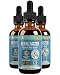Nerve Factor - Liquid Nerve Support Supplement - Help Support Blood Flow and Calm Relaxation - Turmeric, B-Vitamins, Spirulina and Passionflower