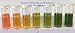 Wide Range pH Indicator Solution: 30 mL Plus 2 Empty Capped Sample Vials — Includes Easy to Read 0.5 pH Increment Color Chart