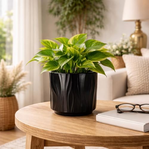 Image of Xtore Sculpted Ceramic Planter | Textured Contemporary Flower Pot for Desk, Shelf & Table Decor - (Black, 1 Piece, Planter ONLY)