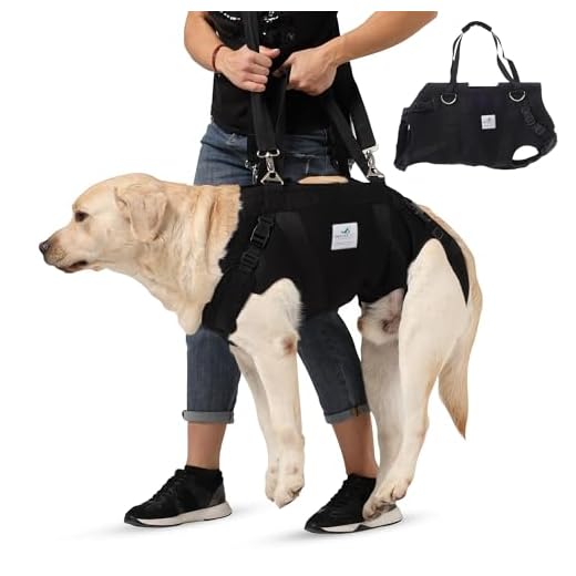 Hunde Tragehilfe vorne Hund Unterstützung Harness Pet Gehhilfe Heben Ziehen Weste Sling Unterstützung Rehabilitation für Alte & Verletzte Hunde (Front Leg - M-Red) 4 NATURE PET Ganzkörper Tragehilfe Für Hunde/Durchgehende Tragehilfe/Durchgehende Hebehilfe für Hunde (S, Schwarz)
