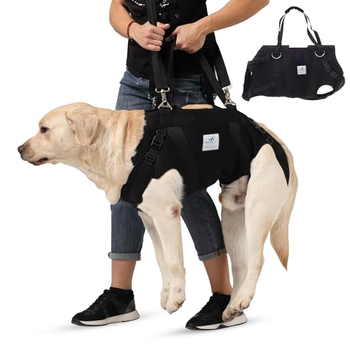 Nature Pet Ganzkörper Tragehilfe für Hunde aus 4 mm starkem Neopren/Durchgehende Tragehilfe mit stark gepolstertem Hebegurt – Ganzkörper-Hebegeschirr für Reha & Mobilität (L)