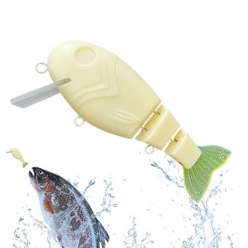 ���A�[ �u�����N | 12.4cm ���h�� �u�����N ���A�[ | 3�Z�N�V���� �l�H �{�f�B �W���C���g �� �X�C���x�C�g,���S�҂���уv������ �� �r ���� �C�� ���� �A�E�g�h�A�ނ�p