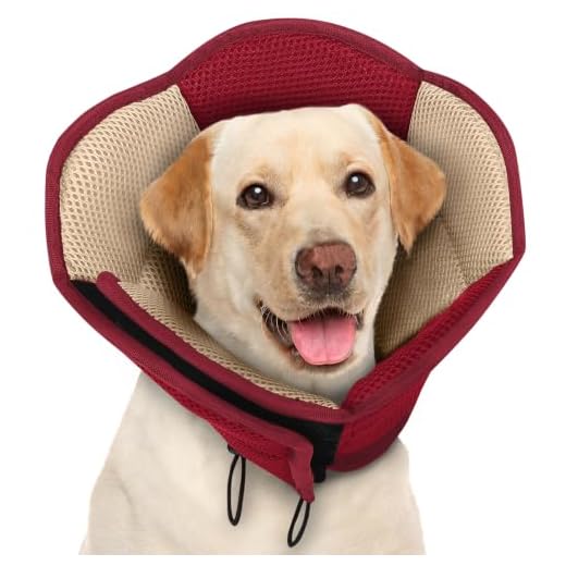 Breathable Adjustable Dog Cone for Surgery