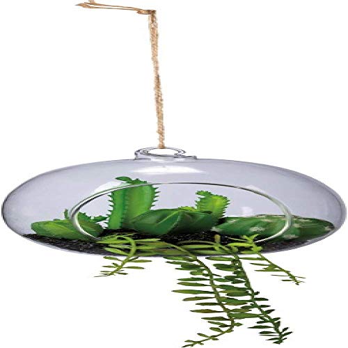 Primitives-By-Kathy-Oval-Planter-Cacti Primitives By Kathy Oval Planter Cacti