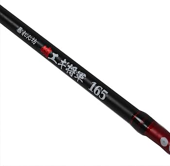 Amazon | SOLFIESTA(ソルフェスタ) 暴れん坊蛸エギ将軍 165