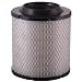 ECOGARD XA5306 Premium Engine Air Filter Fits Dodge Neon, SX 20 / Plymouth Neon / Chrysler Neon