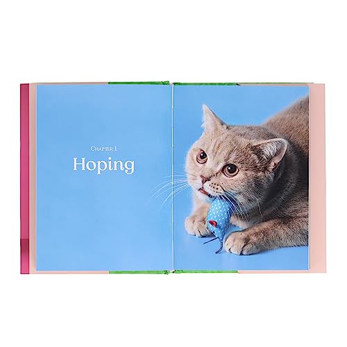 Oh. It's You.: Love Poems by Cats - Image 8