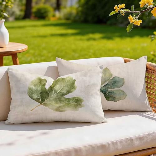 �N�b�V�����J�o�[ 50x70cm 2���Z�b�g, ���_�炩�� �x���x�b�g �\�t�@�[�N�b�V���� �������J�o�[, ���ʈ�� �B���t�@�X�i�[�t, ������� �k�� ���z�c�J�o�[ �w���� ���J�o�[, �C���e���A �������� �G�� ���r���O �Q���p, �ې􂢉\, �N���[