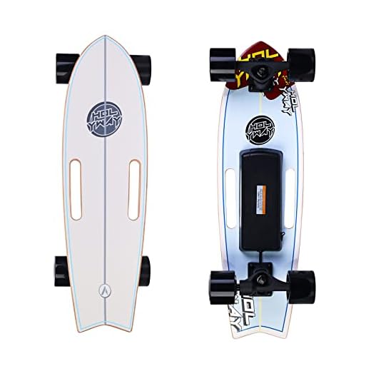 Electric Skateboard Electric Longboard with Remote Control Electric Skateboard,350W Hub-Motor,13 MPH Top Speed，5.5 Miles Range,3 Speed Adjustment，Max Load 160 Lbs,12 Months Warranty