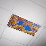 Octo Lights Fluorescent Light Covers for Ceiling Lights Classroom 2x4 (22.38in X 46.5in) Improve Focus, Eliminate Headaches, Provide Florescent Light Relief - Tree 010