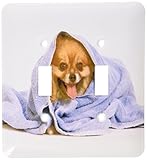 3dRose lsp_80224_2 A Cute Pomeranian Pup Under A Blue Blanket Double Toggle Switch