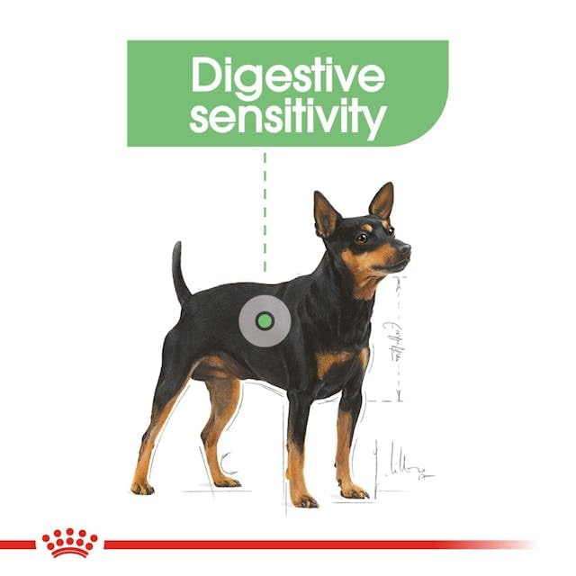 Royal Canin Digestive Care Mini | Doppelpack | 2 x 1 kg | Alleinfuttermittel für Hunde | Für ausgewachsene und ältere kleine Hunde (1 bis 10 kg) mit empfindlicher Verdauung