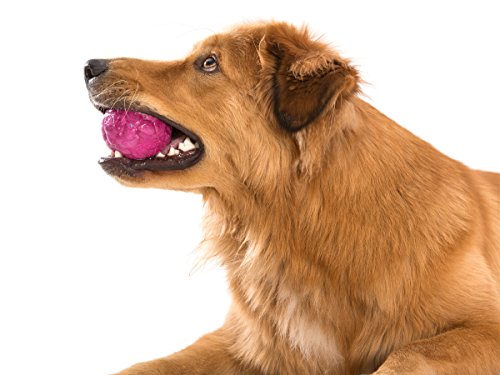 West Paw Zogoflex Air Boz Dog Toy – Floatable Pet Ball for Dogs, Fetch, Play, Chewing – Non-Toxic, Recyclable, Latex-Free Canine Toys – Durable Exterior Texture, Bouncy Squishy Ball, Small, Peacock